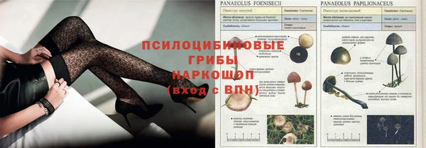 а пвп мука Аркадак