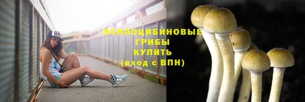 а пвп мука Аркадак
