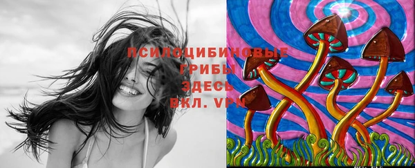 а пвп мука Аркадак