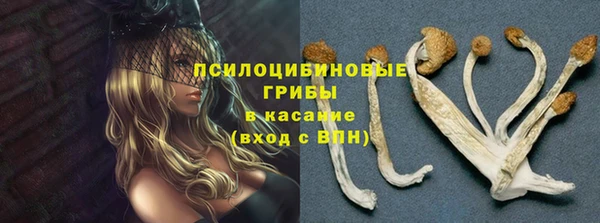 а пвп мука Аркадак